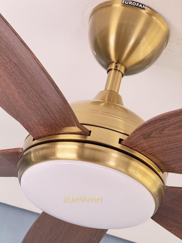 Quạt trần 5 cánh nẫu gỗ, thân màu đồng Eurofan 655MV