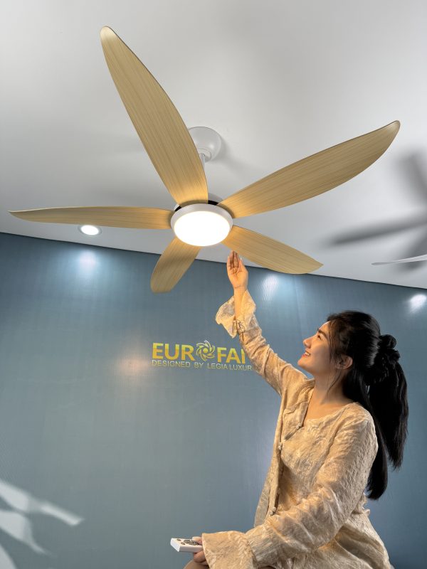 Quạt trần 5 cánh vàng gỗ Eurofan 669MV