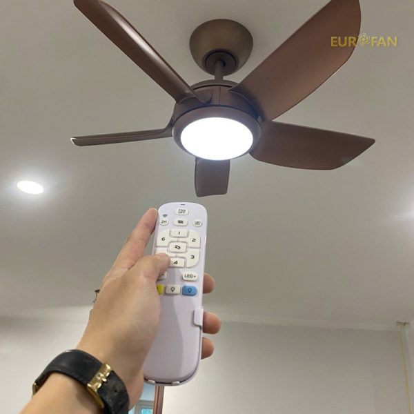 Quạt trần 5 cánh ngắn, vàng cát Eurofan 969G