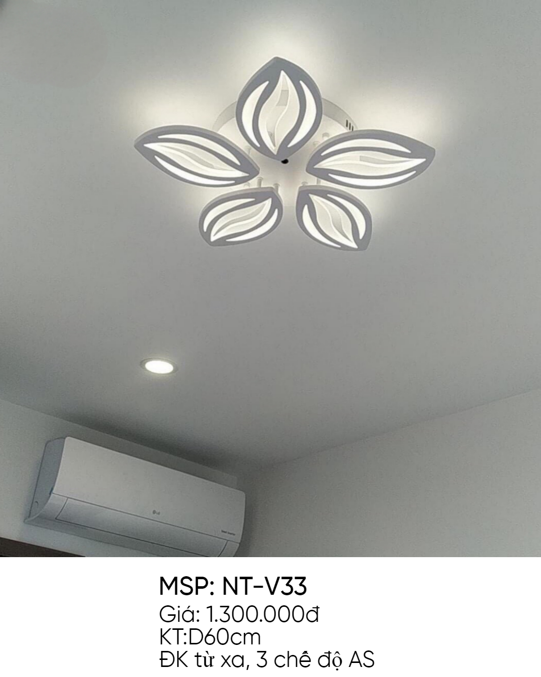 Đèn ốp trần led NT-V33